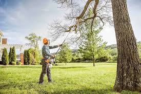 Best Aeration Services  in Albany, CA